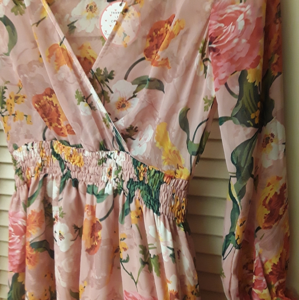 Blush Pink Sheer Floral Dress Boho NWT S M